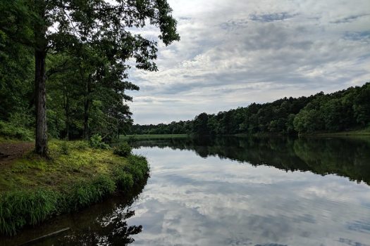Sloppy Floyd Lower Lake Reflection